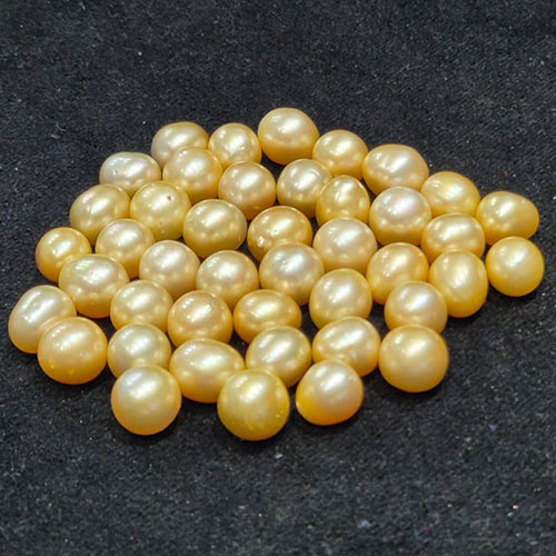 South Sea Yellow Pearl/Moti/Mukta - High Quality